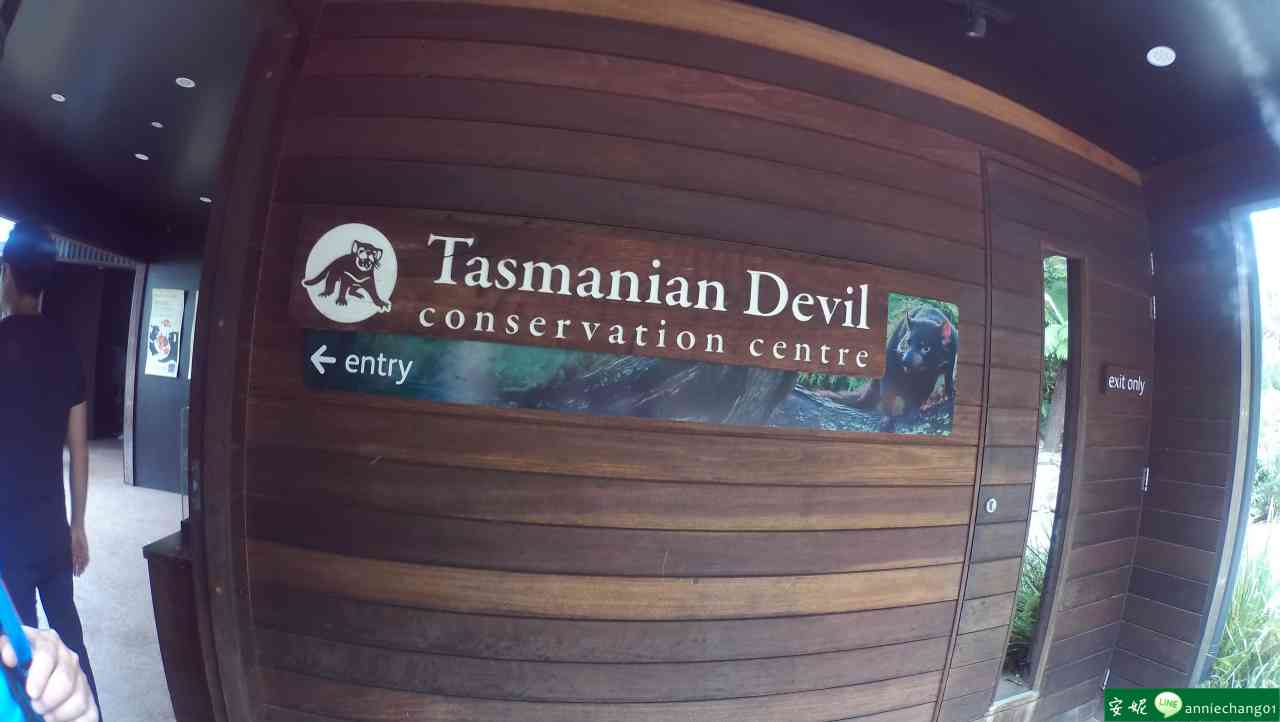 【澳洲 雪梨】Taronga動物園